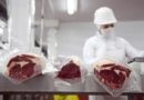 Récord para las exportaciones de carne vacuna en el primer semestre