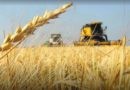 Se realizó el primer giro del Fondo Estabilizador del trigo  molinos por $1400 millones
