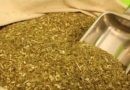 La yerba mate alcanzó un récord histórico de exportaciones en 2025
