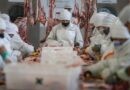 Exportan a Qatar cortes de carne argentina, de alto valor, con certificación Halal