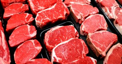 Gulfood Dubái 2024: Argentina se consolida como un proveedor confiable de carne Halal