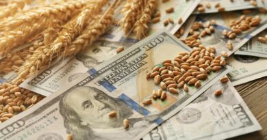 El trigo, maíz y girasol impulsaron el crecimiento del 21,3% en las exportaciones del agro