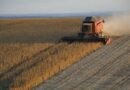 Agroexportadores: fuerte suba del 133% en la liquidación de divisas, con U$S 1.499 millones en febrero