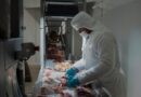 Se abre un nuevo mercado para la Argentina: se exportará carne bovina y ovina Kosher con hueso a Israel