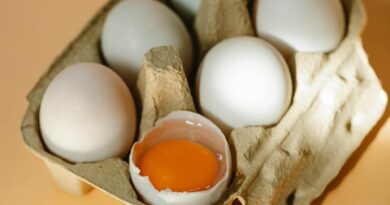 Día mundial del huevo: por qué es un alimento tan importante para la nutrición