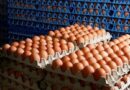 El consumo de huevo marcó un récord y es el segundo alimento más elegido en Argentina