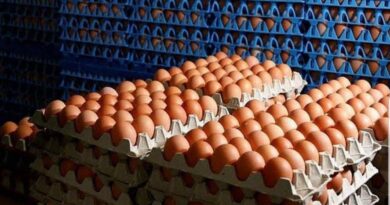El consumo de huevo marcó un récord y es el segundo alimento más elegido en Argentina