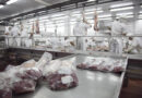 Las exportaciones de carne bovina superaron los US$1000 millones en el primer trimestre