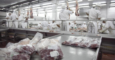 Las exportaciones de carne bovina superaron los US$1000 millones en el primer trimestre