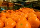 Argentina habilitó la exportación de cítricos a Panamá